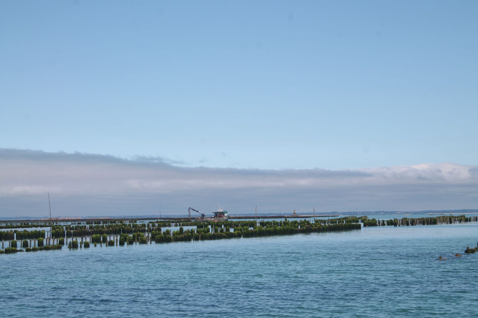 Muschelfarmen in der Bucht um Chausey