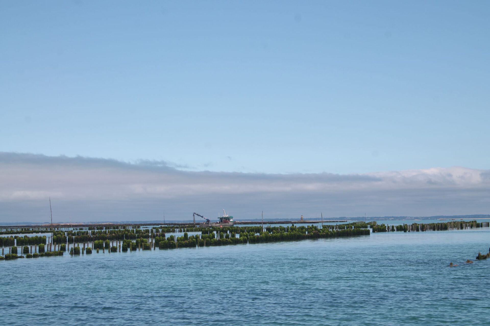 Muschelfarmen in der Bucht um Chausey