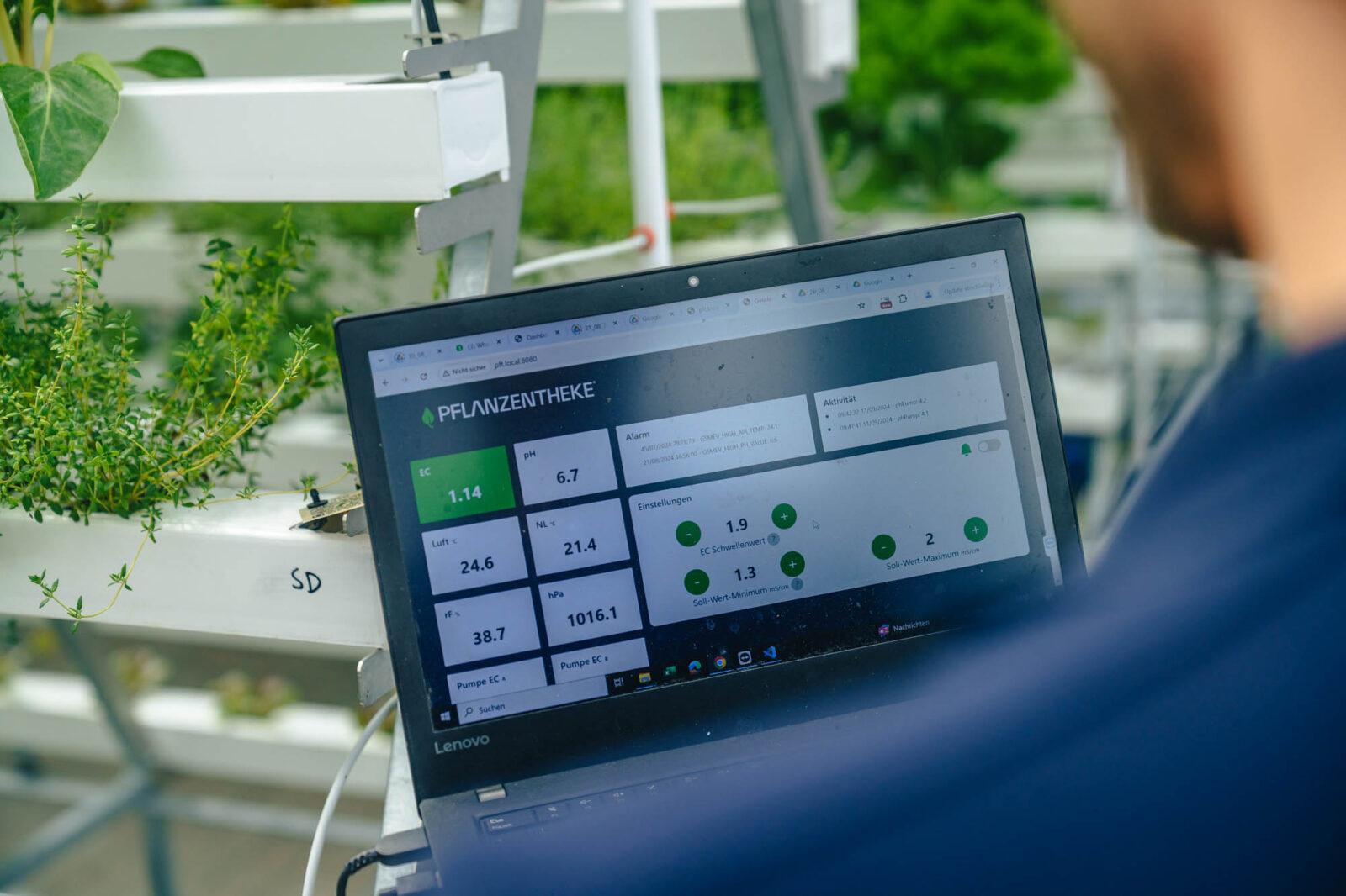 Diese Pflanzen werden in einem erdlosen Anbausystem von Pflanzentheke angebaut.