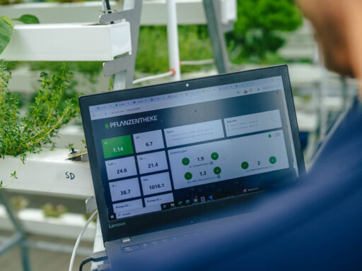 Diese Pflanzen werden in einem erdlosen Anbausystem von Pflanzentheke angebaut.