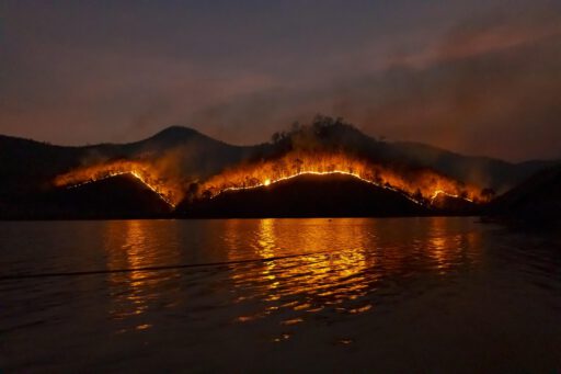 wildfire, bushfire, fire, forest, nature, emergency