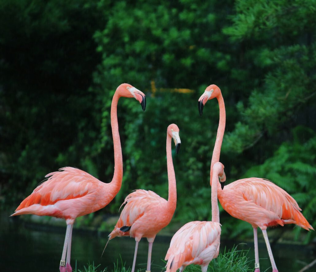 sharisse-bullock-2dOmHAE9VlM-unsplash